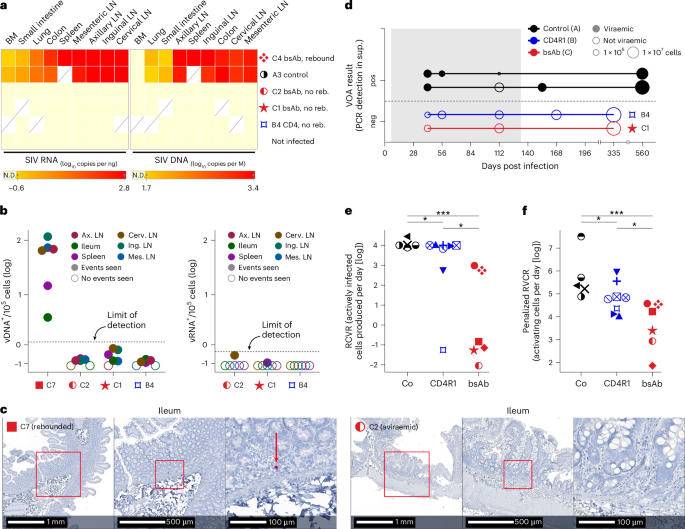 LabWaggoner's tweet photo. SIV reservoir depletion and clearance from neonatal macaques following transient CCR5 depletion @NatureMicrobiol @UCDavisMed https://t.co/1OIq2zhLfh https://t.co/VewtOOzKnJ