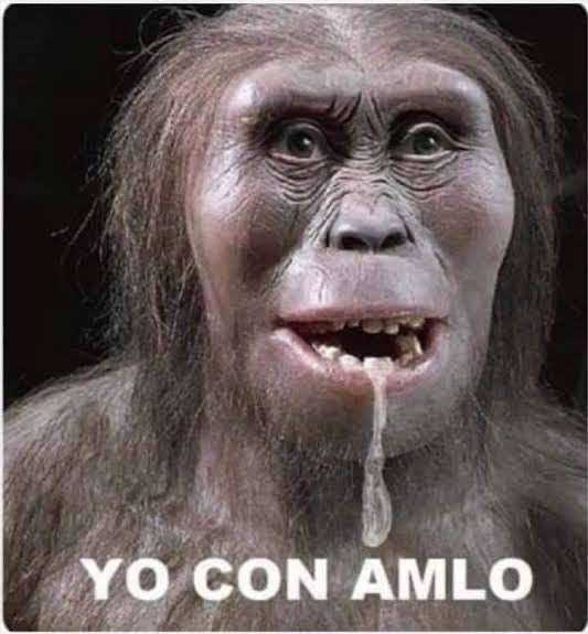 JacinTullido's tweet photo. @BoopLapatyboop Así q roban para hacer quedar mal al gobierno? Un sistema de salud q antes si servía? 🙄🤦🏻‍♂️ https://t.co/deOG38TJ86