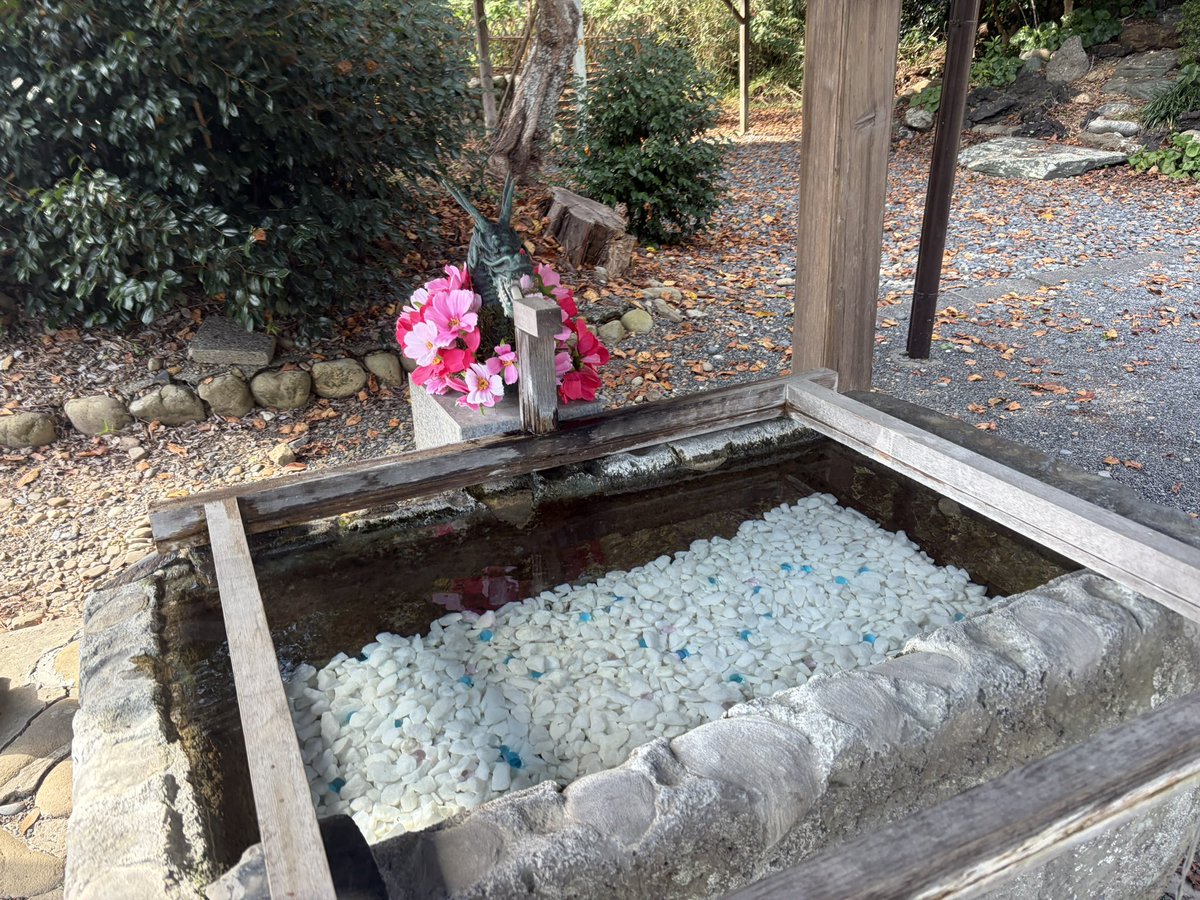 Yumijodo's tweet photo. おはようございます🌱🍃🫧

10月20日(火)☔️☁️

前線が停滞
九州と四国
中国や近畿、東海雨や雷雨
北陸は局地的に激しい雨
関東は曇りや雨
沖縄と北海道は晴天
気温の寒暖差
体調気を付けて下さい🐈‍⬛🐾

優しい繋がりに感謝します
ありがとうございます💖
今日も宜しくお願いします🌸

素敵な一日を☘️🫧 https://t.co/oCRUh9Y5tr