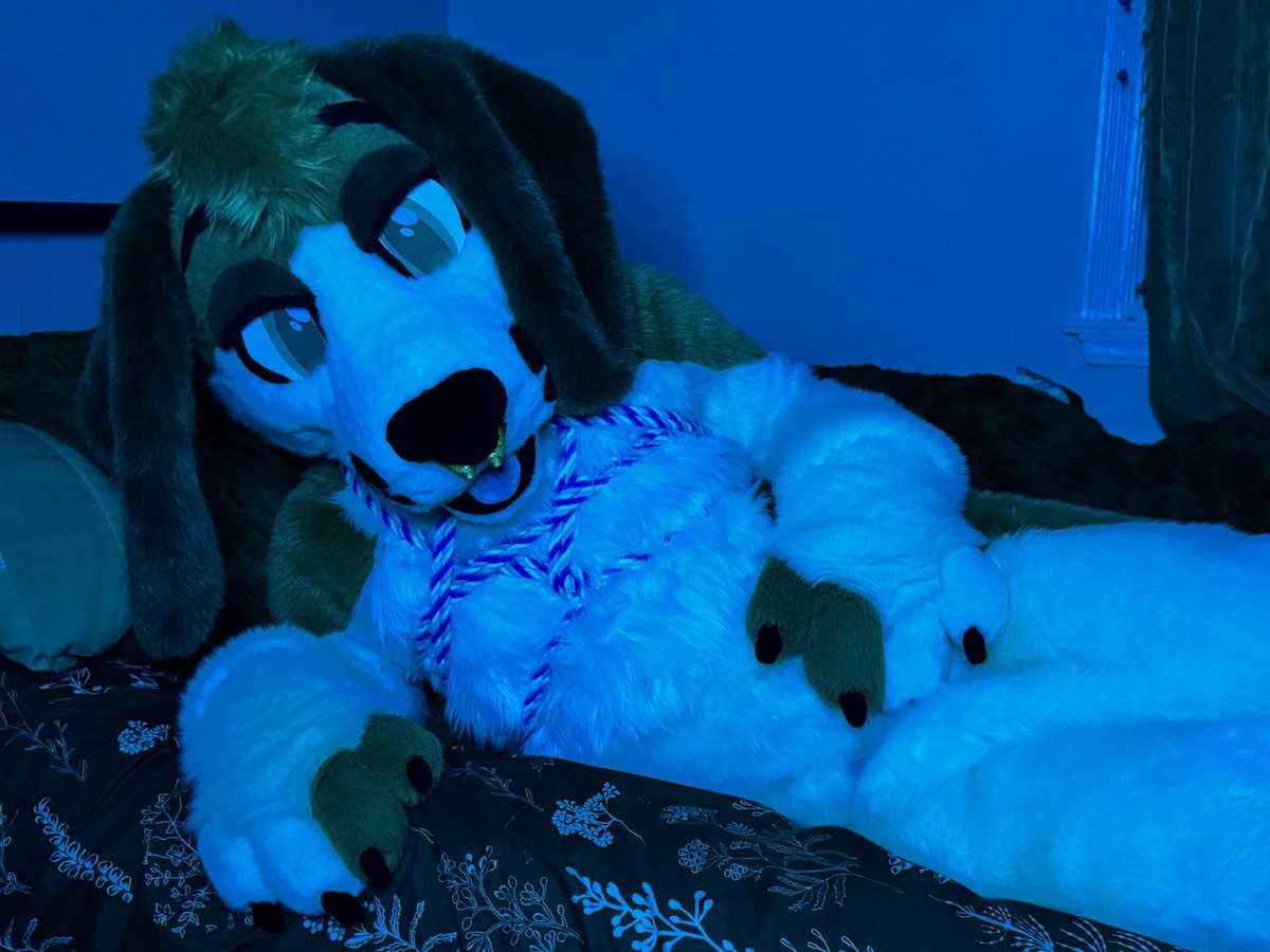 muttscaria's tweet photo. No dogs on the bed? Surely you can make an exception for me 🤭

🎨/📸: @phytofelis
🪢: @BedBoundBeyond https://t.co/Q2YaORIZUw
