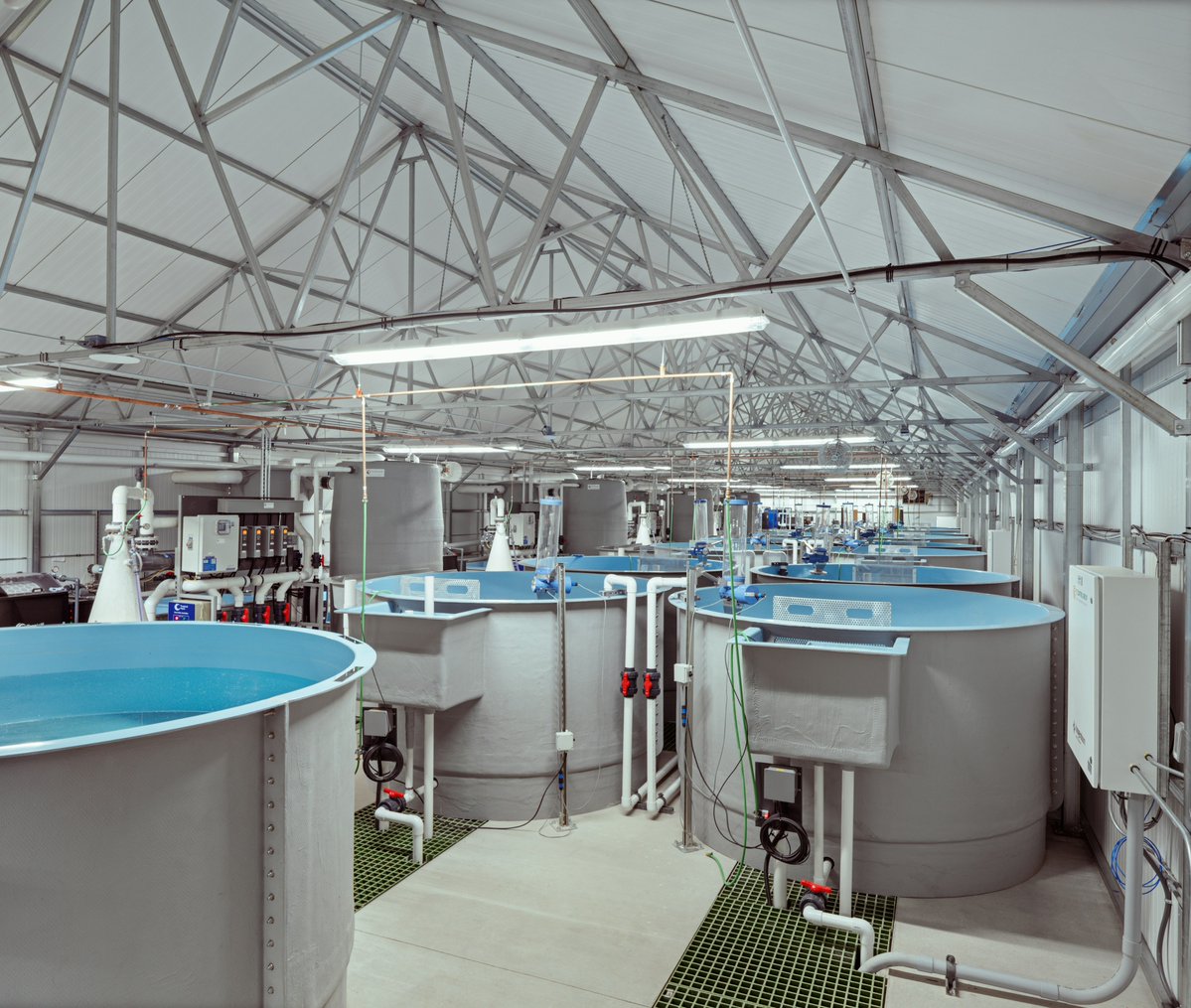 Andersen_Const's tweet photo. Congrats to RM Mechanical, Idaho Business Review's 2026 Specialty Contractor of the Year! 🎉 Their work on the Greenscale aquaponics facility in Boise showcased their design-assist approach &amp; teamwork. Here's to our 26 years of partnership built on trust! 🤝 https://t.co/b6LD4vNrLL