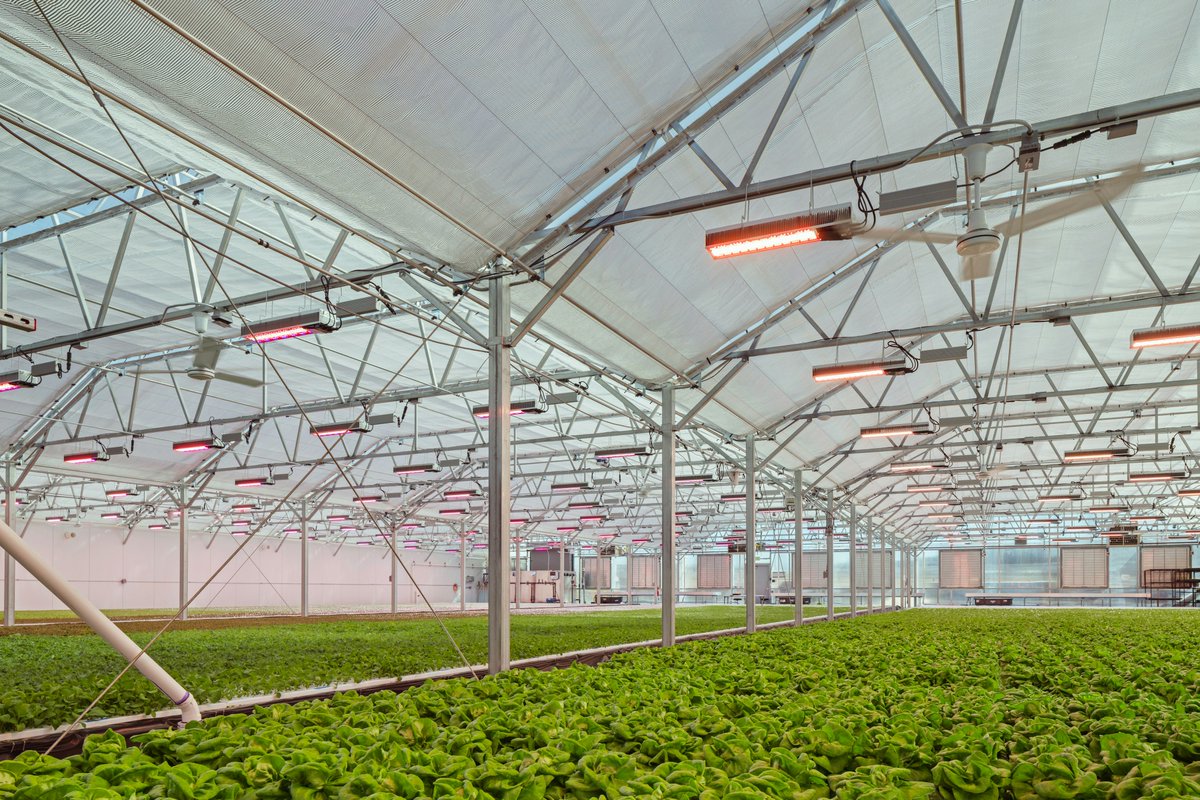 Andersen_Const's tweet photo. Congrats to RM Mechanical, Idaho Business Review's 2026 Specialty Contractor of the Year! 🎉 Their work on the Greenscale aquaponics facility in Boise showcased their design-assist approach &amp; teamwork. Here's to our 26 years of partnership built on trust! 🤝 https://t.co/b6LD4vNrLL