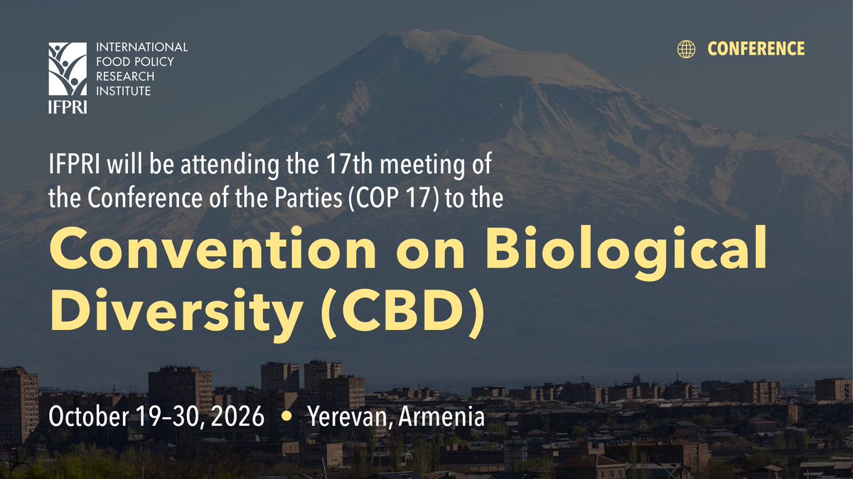 IFPRI's tweet photo. #COP17Armenia is officially underway, and IFPRI is pleased to participate!

Join us on October 21 and October 24 in person at the FAO Pavilion, Blue Zone or online via the video livestreams.

Details here: https://t.co/BXyFU05Ywz
@CGIAR https://t.co/4v7lw2dvul
