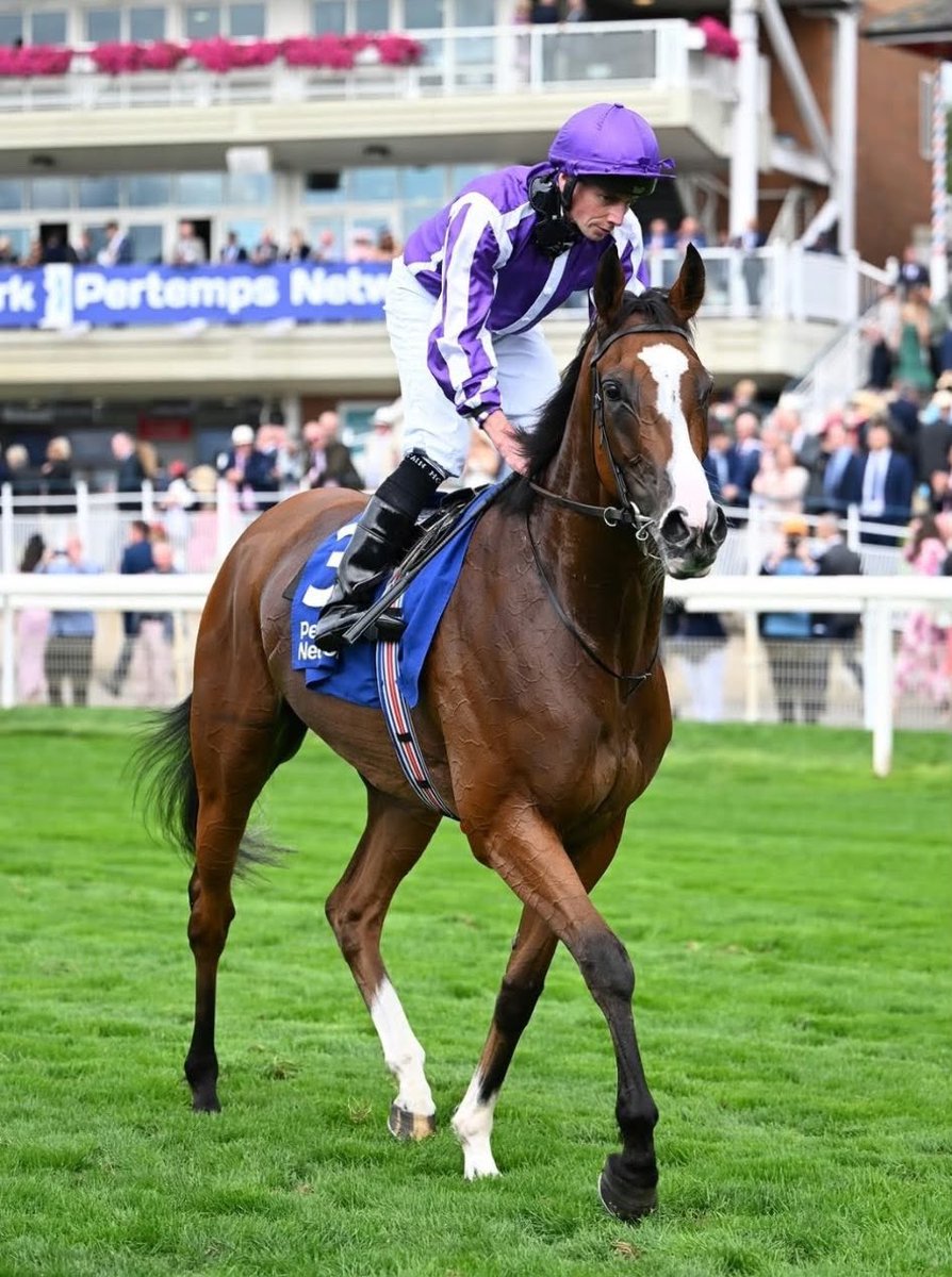 Saudi_Racing's tweet photo. 📌أيرلندا 🇮🇪

المدرب الآيرلندي Aidan O'Brien يقرر إرسال الفرس Minnie Hauk إلى اليابان تحديدا للمشاركة بشوط Japan Cup G1 المقام على مضمار Tokyo نهاية نوفمبر المقبل، حيث ستكون تلك المشاركة النهائية بسجلها السباقي قبل توجهها إلى الولايات المتحدة الأمريكية لزيارة الفحل JUSTIFY.

@coolmorestud
@aobrienfansite
#سعودي_ريسنج