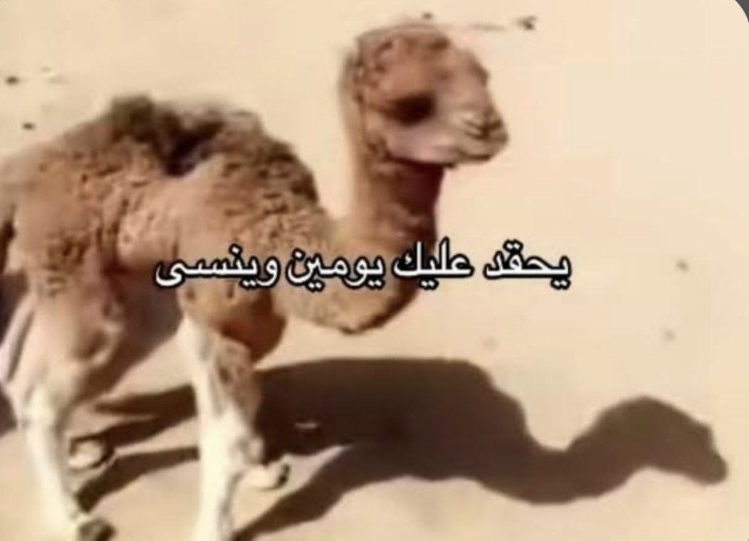 ureuisa's tweet photo. احس اني سامحت عليا
بركاتك يا دجله https://t.co/Ikm7ClbGMa