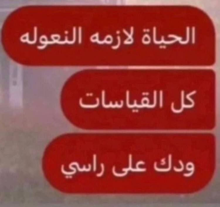 4jirj's tweet photo. شلون بهل حاله https://t.co/Ojq3MAjYig