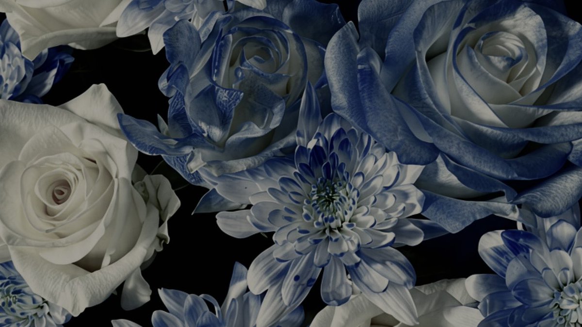 exn72 tweet picture