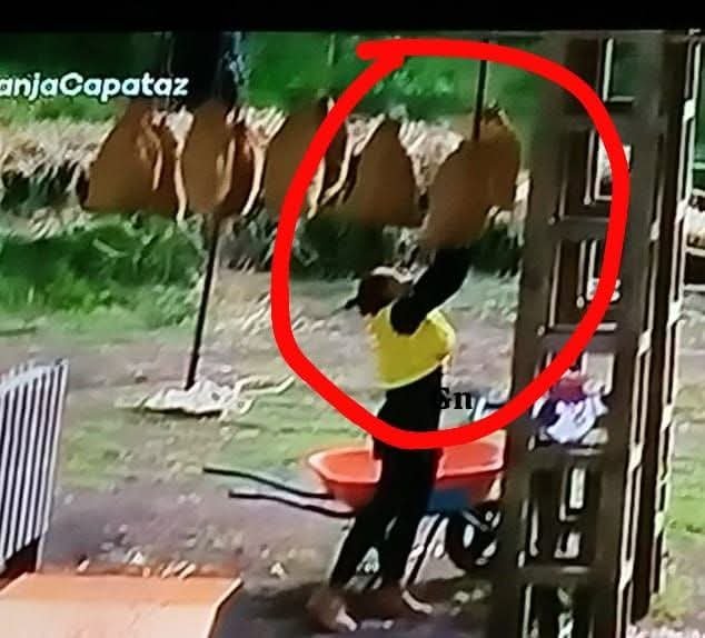 rotvic_6388's tweet photo. Otra vez fraude......
#LaGranjaFraude https://t.co/yoR7GpgQMB