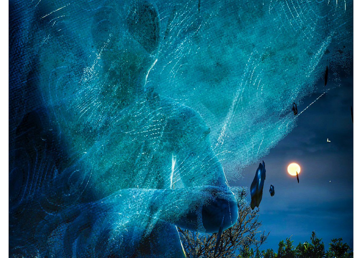 virtual_koda tweet picture