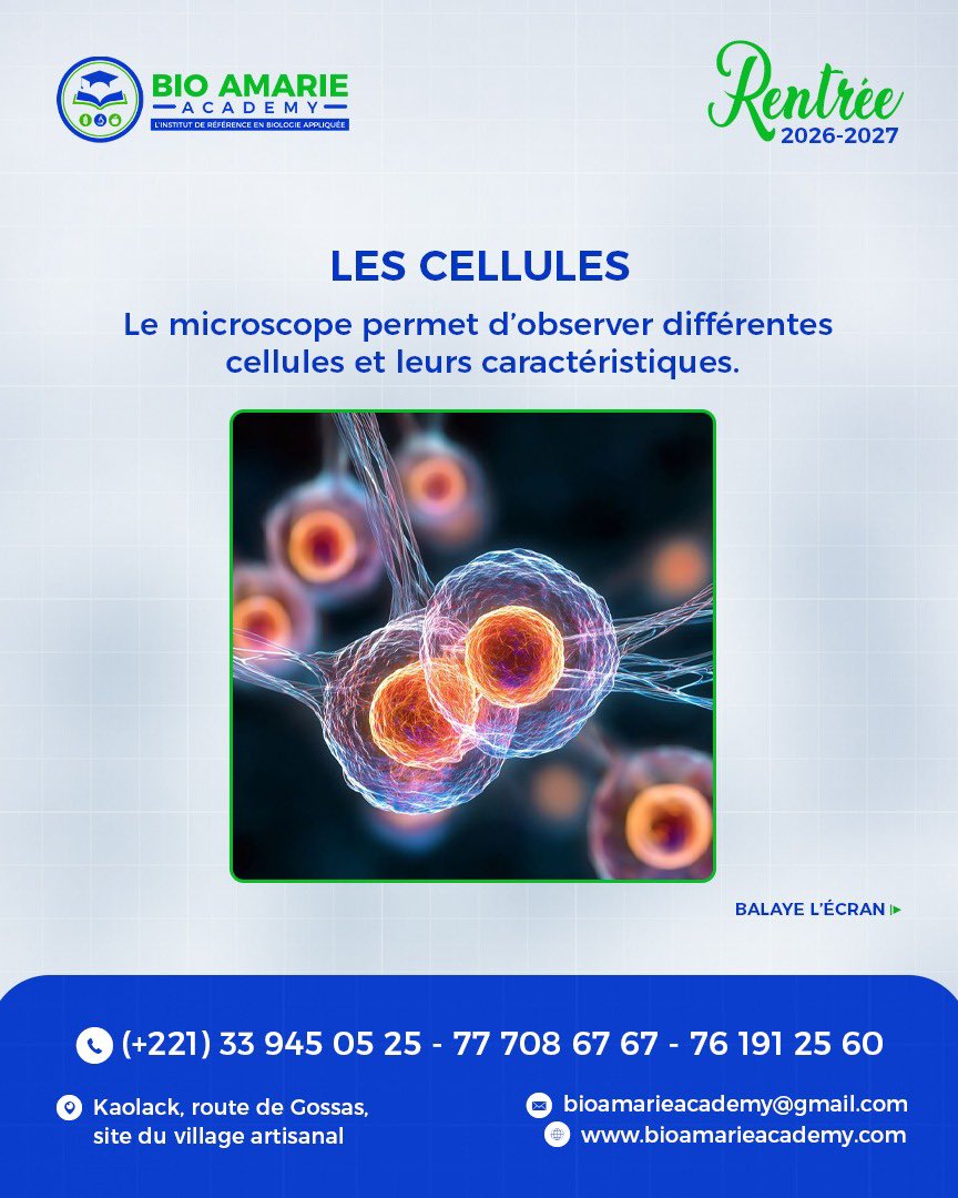 bio_amarie's tweet photo. 🔬 LE MICROSCOPE : UN PETIT OUTIL POUR DE GRANDES DÉCOUVERTES !🧪

Dans un laboratoire, certains éléments sont invisibles à l’œil nu. C’est là que le microscope entre en jeu !

🔍 Observer des cellules
🩸 Examiner certains éléments du sang
🧫 Étudier des structures microscopiques
🎯 Développer la précision et le sens de l’observation

Derrière chaque manipulation, il y a des connaissances scientifiques, de la rigueur et de la pratique.

🎓 Tu souhaites découvrir l’univers des Analyses Biologiques ?

BIO AMARIE ACADEMY propose des formations en Analyses Biologiques : BT • BTS • Licence.

📍 Kaolack — Route de Gossas, site du Village Artisanal.

📞 33 945 05 25 / 77 708 67 67 / 76 191 25 60

💬 Question du jour : as-tu déjà utilisé un microscope ? Réponds en commentaire : OUI ou PAS ENCORE ! 👇

#BioAmarieAcademy #AnalysesBiologiques #Microscope #Biologie #Laboratoire #FormationProfessionnelle #Kaolack