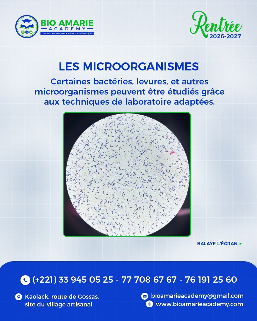 bio_amarie's tweet photo. 🔬 LE MICROSCOPE : UN PETIT OUTIL POUR DE GRANDES DÉCOUVERTES !🧪

Dans un laboratoire, certains éléments sont invisibles à l’œil nu. C’est là que le microscope entre en jeu !

🔍 Observer des cellules
🩸 Examiner certains éléments du sang
🧫 Étudier des structures microscopiques
🎯 Développer la précision et le sens de l’observation

Derrière chaque manipulation, il y a des connaissances scientifiques, de la rigueur et de la pratique.

🎓 Tu souhaites découvrir l’univers des Analyses Biologiques ?

BIO AMARIE ACADEMY propose des formations en Analyses Biologiques : BT • BTS • Licence.

📍 Kaolack — Route de Gossas, site du Village Artisanal.

📞 33 945 05 25 / 77 708 67 67 / 76 191 25 60

💬 Question du jour : as-tu déjà utilisé un microscope ? Réponds en commentaire : OUI ou PAS ENCORE ! 👇

#BioAmarieAcademy #AnalysesBiologiques #Microscope #Biologie #Laboratoire #FormationProfessionnelle #Kaolack