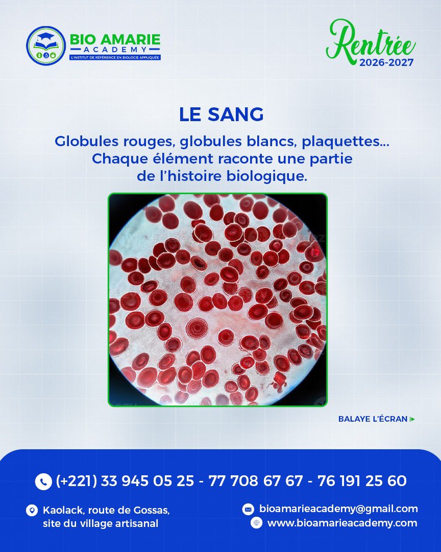 bio_amarie's tweet photo. 🔬 LE MICROSCOPE : UN PETIT OUTIL POUR DE GRANDES DÉCOUVERTES !🧪

Dans un laboratoire, certains éléments sont invisibles à l’œil nu. C’est là que le microscope entre en jeu !

🔍 Observer des cellules
🩸 Examiner certains éléments du sang
🧫 Étudier des structures microscopiques
🎯 Développer la précision et le sens de l’observation

Derrière chaque manipulation, il y a des connaissances scientifiques, de la rigueur et de la pratique.

🎓 Tu souhaites découvrir l’univers des Analyses Biologiques ?

BIO AMARIE ACADEMY propose des formations en Analyses Biologiques : BT • BTS • Licence.

📍 Kaolack — Route de Gossas, site du Village Artisanal.

📞 33 945 05 25 / 77 708 67 67 / 76 191 25 60

💬 Question du jour : as-tu déjà utilisé un microscope ? Réponds en commentaire : OUI ou PAS ENCORE ! 👇

#BioAmarieAcademy #AnalysesBiologiques #Microscope #Biologie #Laboratoire #FormationProfessionnelle #Kaolack