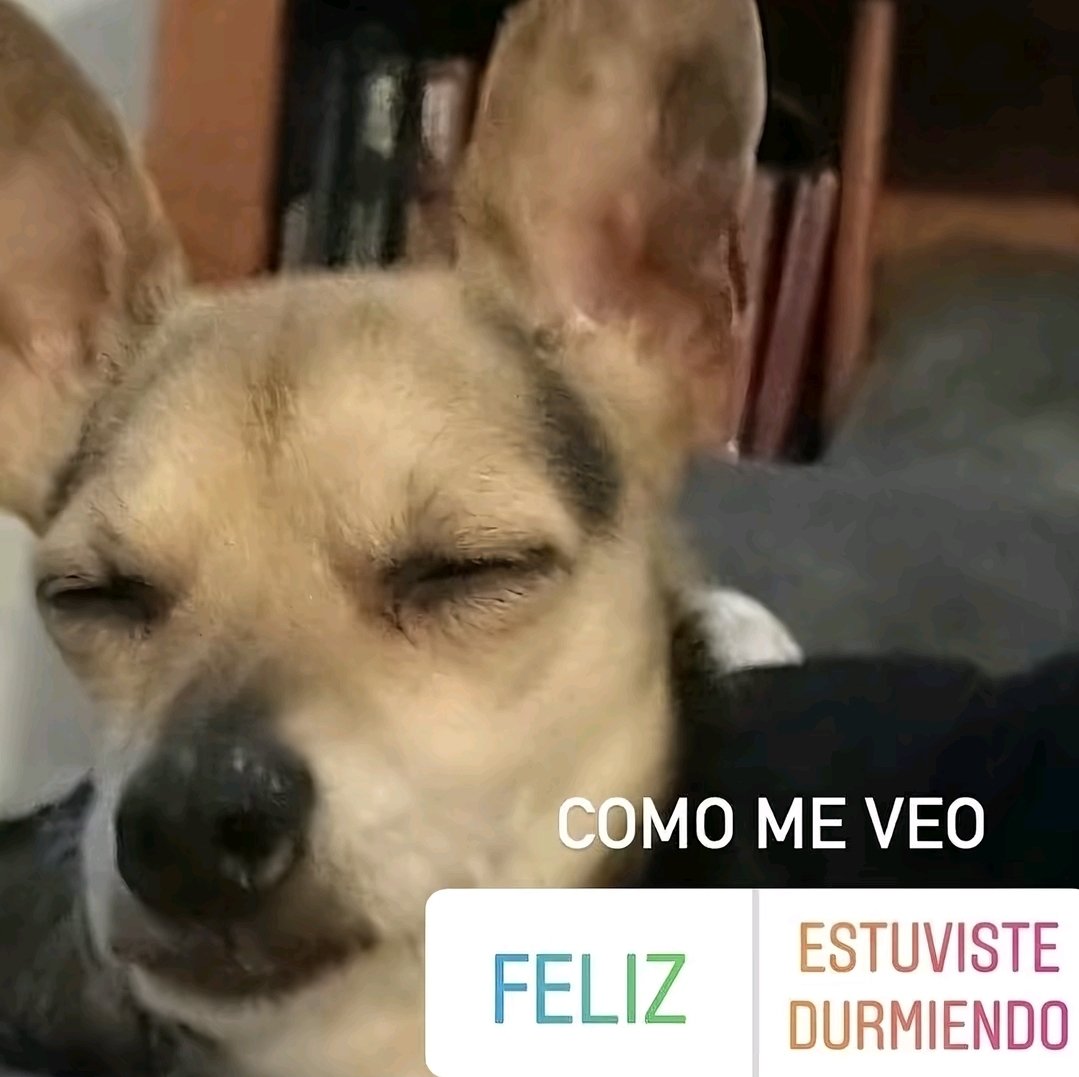 lvshueningkk's tweet photo. me la he pasado durmiendo todo el día 
estado: https://t.co/965KXGmfXY