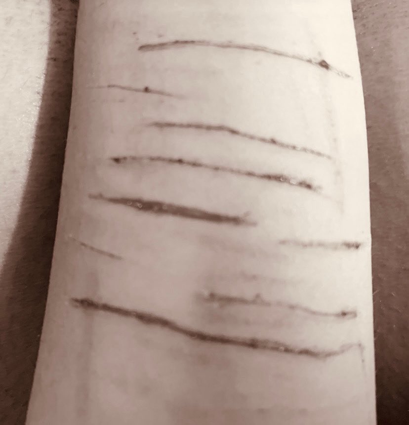 sumixxso's tweet photo. more sfx makeup fake ai from 4 months ago https://t.co/hQcn93OIX3