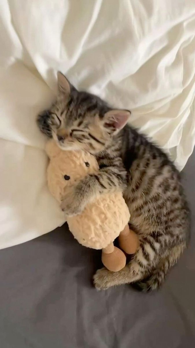inluuvewith1D's tweet photo. too p​recious for this world https://t.co/MAnuKdyxhV