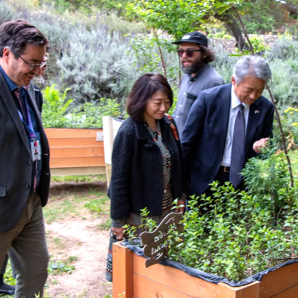 JapanEmb_Chile's tweet photo. 📚🇨🇱En su visita a Vicuña el Emb. SONE y su esposa visitaron el Museo Gabriela Mistral🏛️Junto al Director Martinovic y conocieron el gran legado de la Premio Nobel
🎭Por sorpresa se encontraron con la mismísima #GabrielaMistral, personificada en un títere de la compañía La Boda😊 https://t.co/VXVusLBHW6