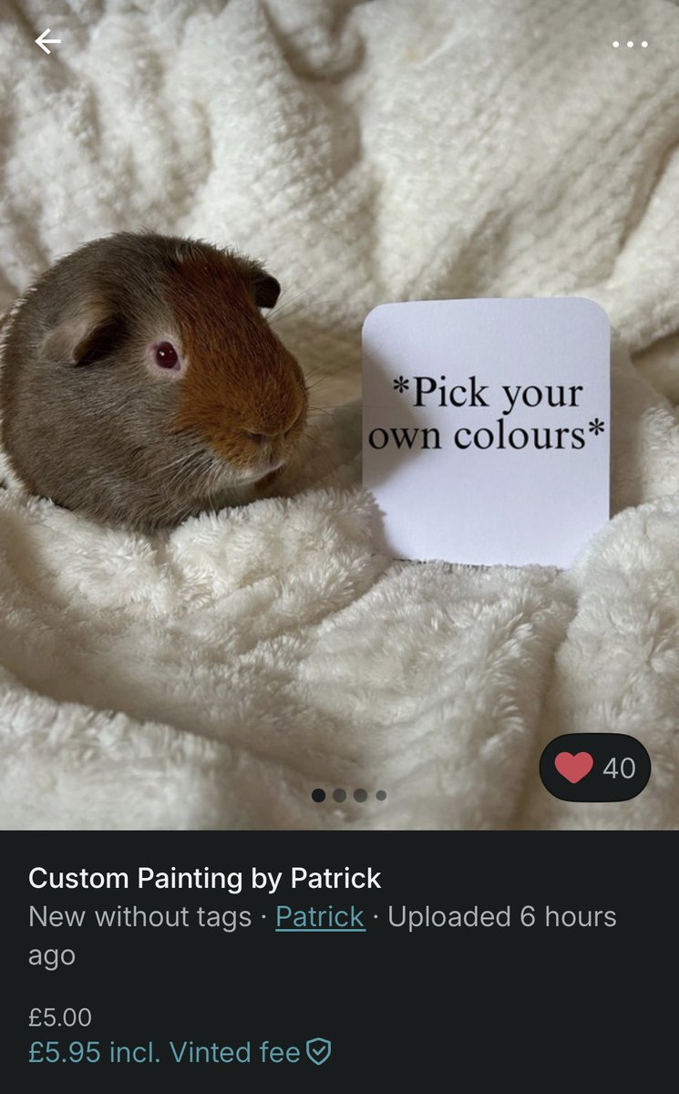 amyalby2904's tweet photo. The perfect Vinted listing doesn’t exi… https://t.co/435xSQnjMF