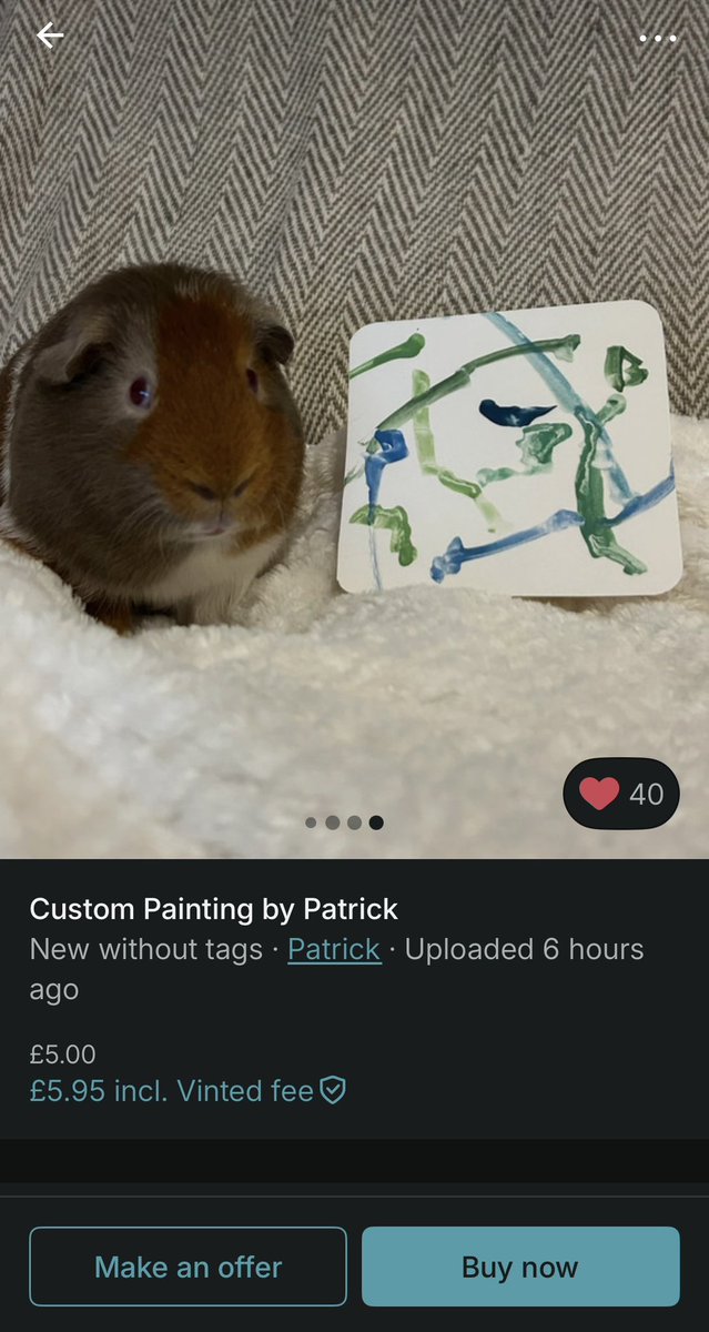 amyalby2904's tweet photo. The perfect Vinted listing doesn’t exi… https://t.co/435xSQnjMF