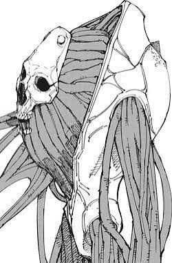 Deixz_xdd's tweet photo. "porque va en bolas?"

Naoya(curse) vs uro takako https://t.co/7v5CK9NT5v