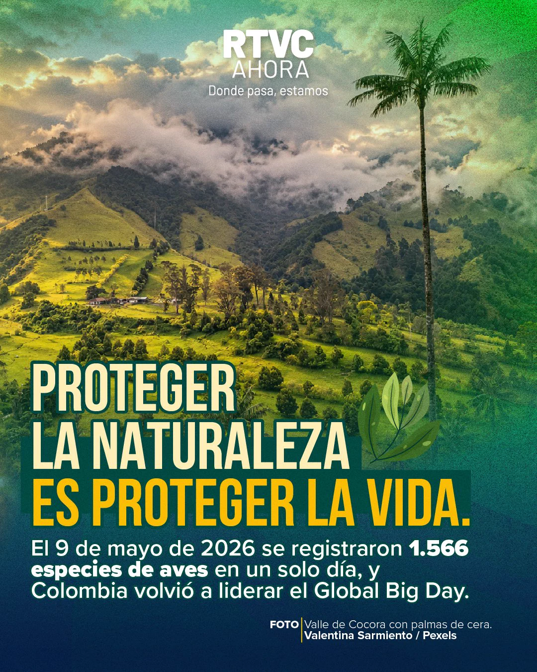 RTVC Noticias on X: 
