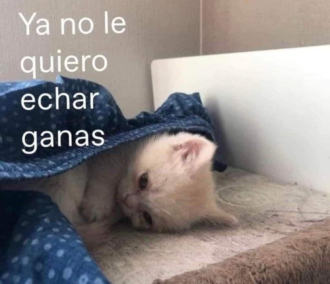 skereunpesado's tweet photo. https://t.co/v0Uy4fBwyM