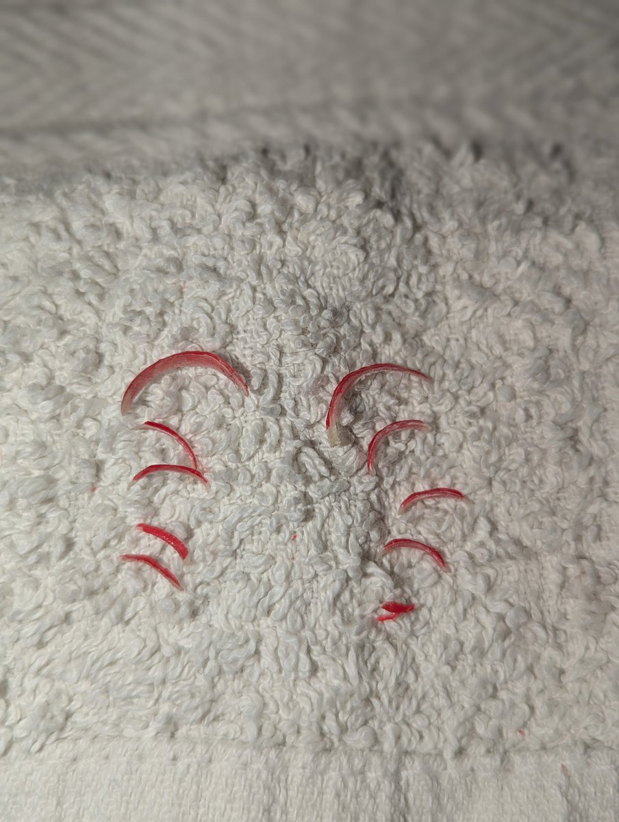 LittleBoss28's tweet photo. Frisch geschnittene Fußnägel – frisch lackiert 💅

Die Fußnägel wurden heute nach dem Duschen frisch geschnitten und neu lackiert. Die Nägel stammen von mir und werden sauber gesammelt und für den Versand vorbereitet. https://t.co/C9s3jPktIv