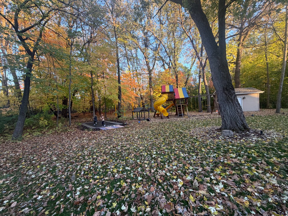 1Marc's tweet photo. not posting much these days 🍂 https://t.co/V8InnpXIfe