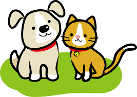 QQSENNINB's tweet photo. 10月20日
おはようございます
（1948.03 大阪）
犬猫の
「行方不明」「里親探し」
 などの応援です。

お知らせ
目の疲れの為時間短縮で
いいね・RT少なくなります🙇
★★Chatは出来ませんm(__)m

本日も元気に
お過ごしください。 https://t.co/jFTHAOkbAJ