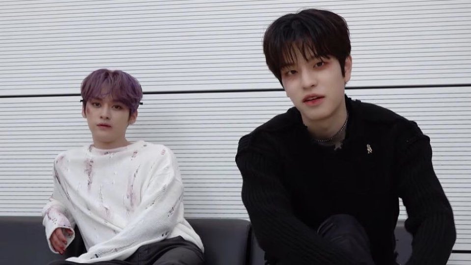 niniizzang's tweet photo. 개랑 고양이는 덩치 차이도 덩치 차이고, 골격 모양부터 다르다 https://t.co/xBy0ggt3RF
