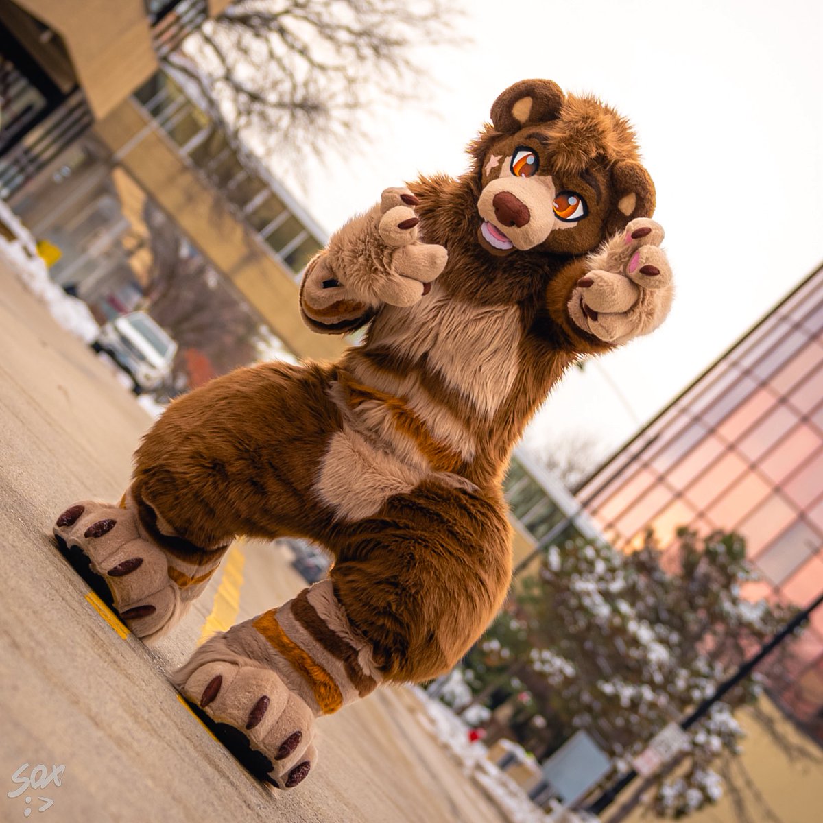 brotherboofer's tweet photo. didn’t think it was possible but we are SO back 🐻
📸: @SilySox https://t.co/rljjucGxPk