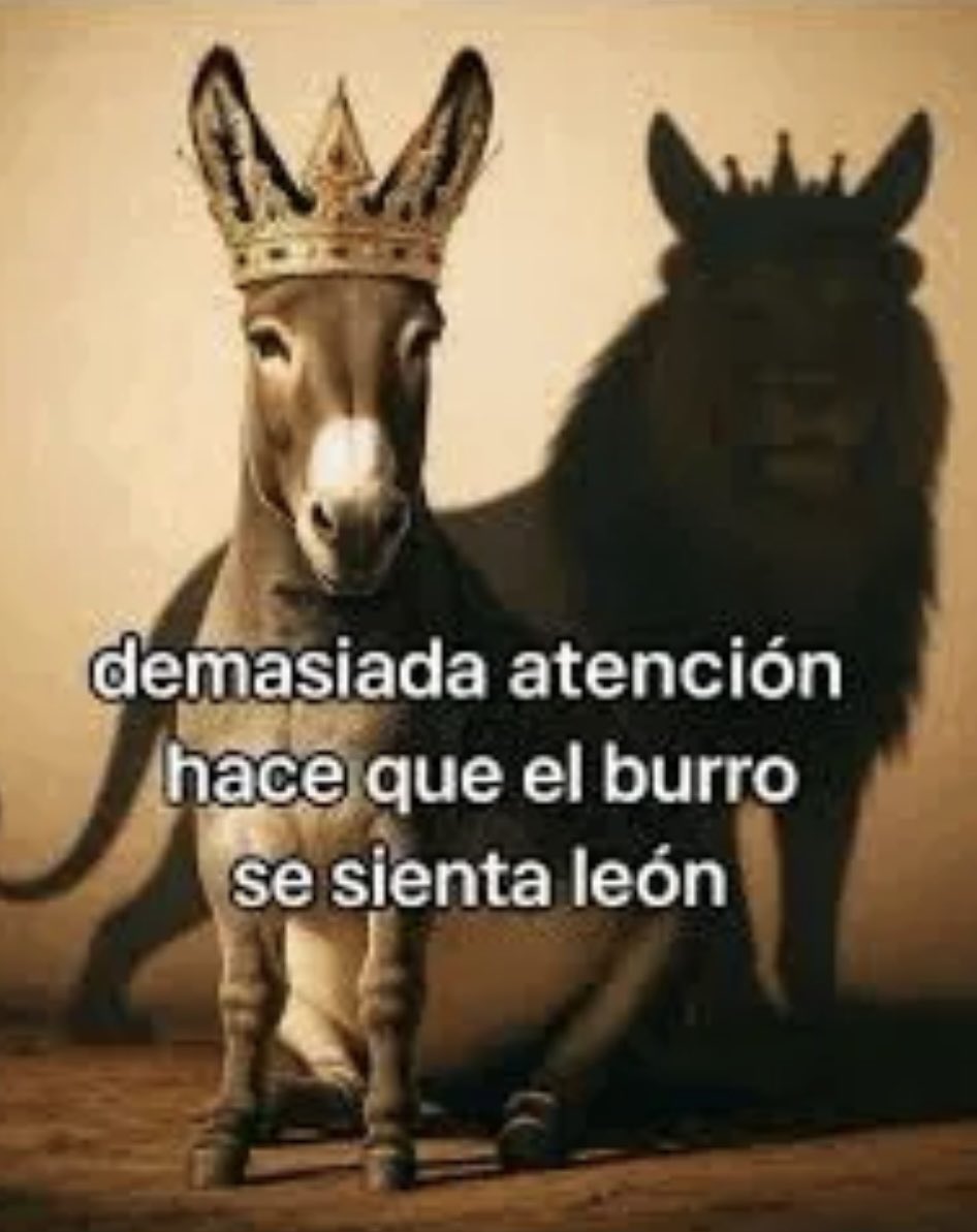4pofenia's tweet photo. @demianzin2 @cardiganvlr https://t.co/EdxCswJZuS