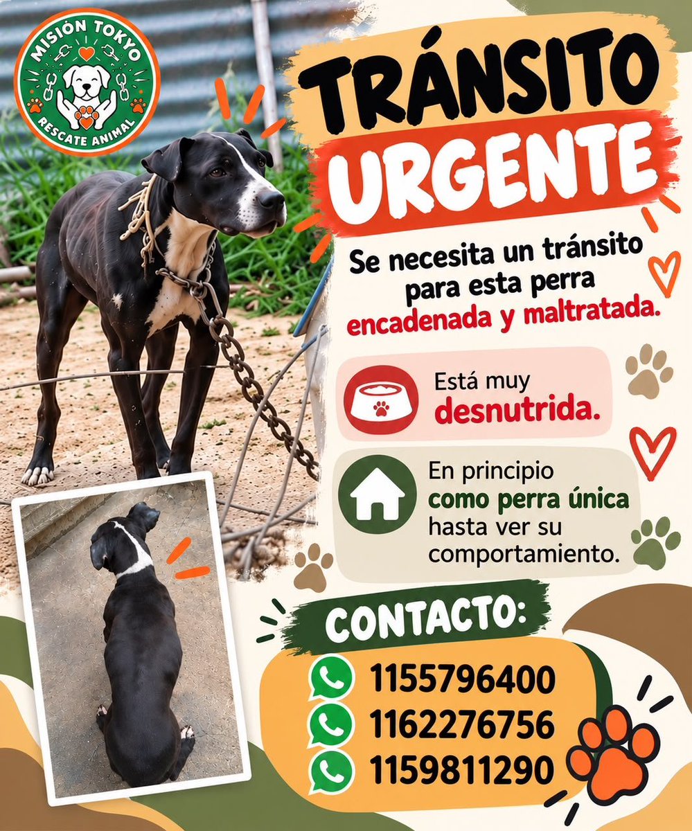 patripeyrou's tweet photo. Rt
Difundimos https://t.co/koeJkiSeJ3