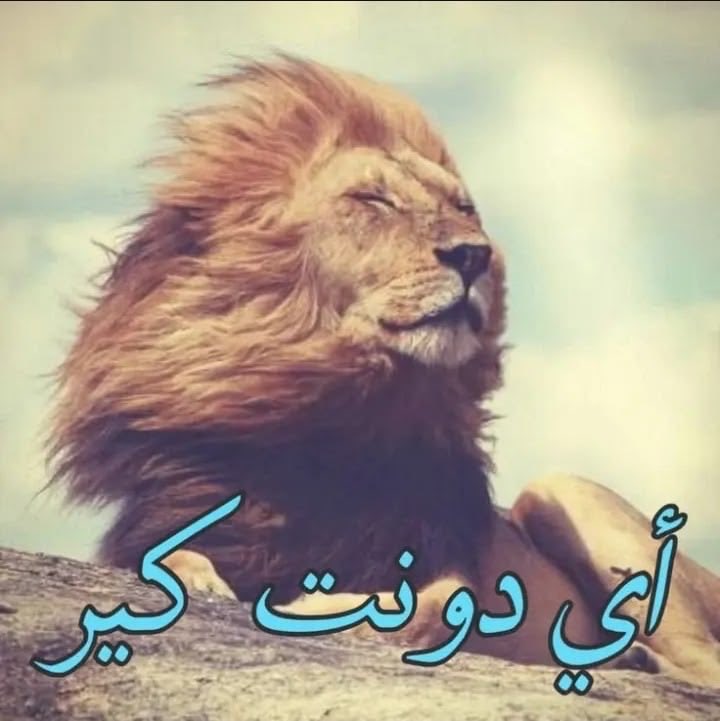 i32jr's tweet photo. @x3sau أنا واحد لاني نمبر ون ☝🏻 https://t.co/NbndYYc6fM