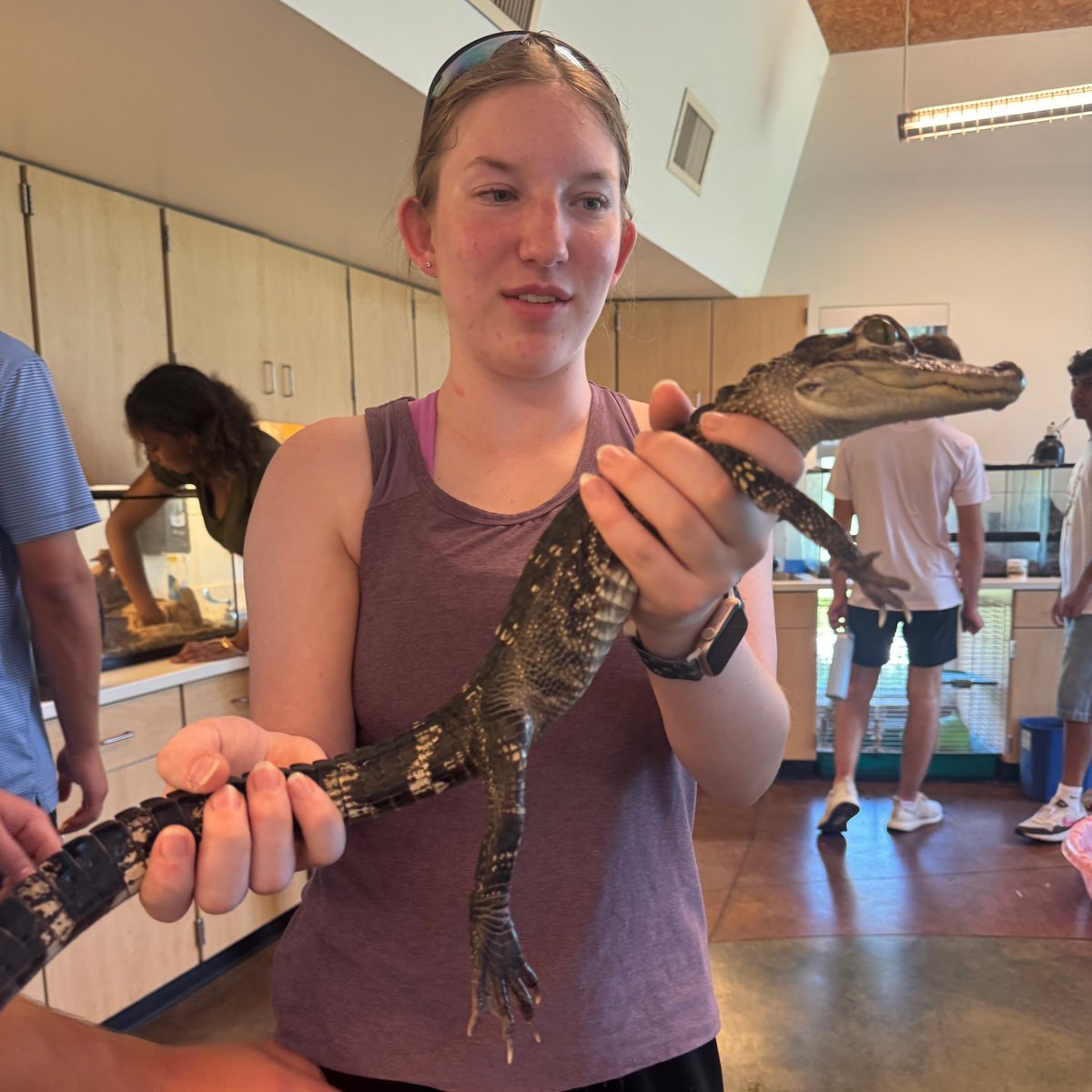 bvcaps's tweet photo. 🧪🐍CAPS Bioscience students explored the Wilderness Science Center with Director Gavin Spake, learning about animal &amp; reptile care, local ecosystems, &amp; field research opportunities. 🌿🌎 Thanks to Gavin &amp; the Wilderness Science Center for an incredible experience!🐢 #BVTogether https://t.co/gcxWmbnqgW