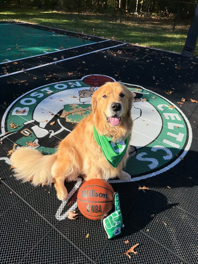 OnlyInBOS's tweet photo. The Celtics are back!

💚

📸: @joanneborzakian https://t.co/ge9M1qticO