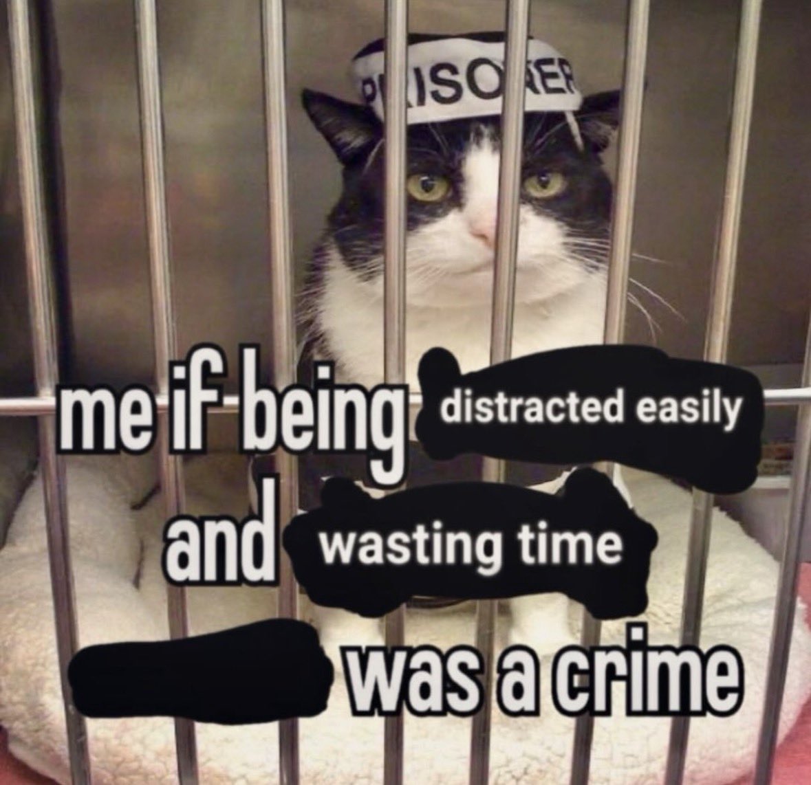 literallymecats's tweet photo. https://t.co/7tw9rrxnNj