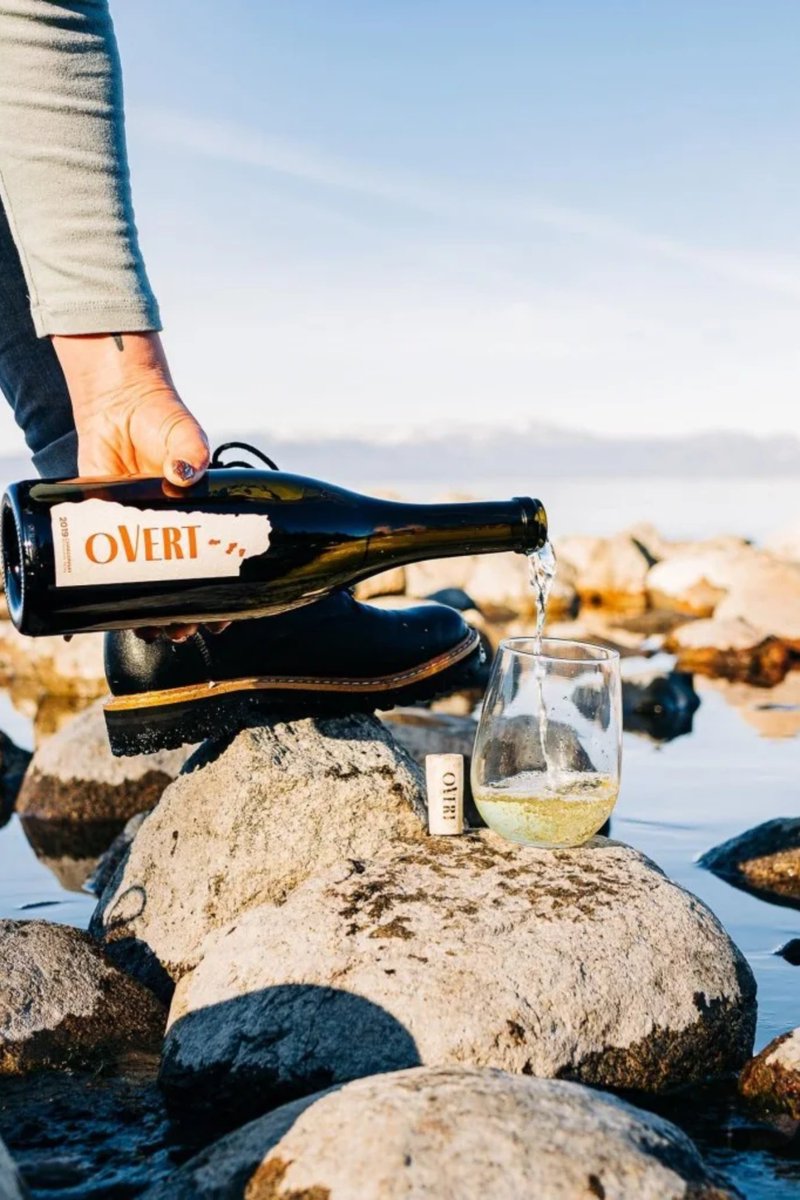 CollinRugg's tweet photo. Rep. Ilhan Omar and her husband's winery was shut down for fraud after they apparently sold investors barrels of wine with nothing inside, according to Rep. James Comer.

"From our initial investigation of Omar and her financial disclosure form, there are multiple fronts where you could get a search warrant issued," House Oversight Committee chairman James Comer said to Fox News.

"Not only was there a huge discrepancy in the financial disclosure form, there was the winery that was the big base of her $25 million listing on her financial disclosure form."

"That winery has, according to the press, been shut down because of fraud. They were apparently selling investors barrels of wine to be aged, but there was nothing in the barrels."

Back in February, after reviewing financial disclosures filed by Omar, Rep. Comer sent a letter to Omar's husband questioning how eStCru LLC and Rose Lake Capital LLC went from being worth $51,000 in 2023 to up to $30 million in 2024.

Comer at the time said the discrepancy was very concerning, noting how the California winery and venture capital firm "increased so dramatically in value only a year after reporting very limited assets."

"Given that these companies do not publicly list their investors or where their money comes from, this sudden jump in value raises concerns that unknown individuals may be investing to gain influence with your wife," he said at the time.

A couple of months later, in April, the winery reportedly shut down operations.