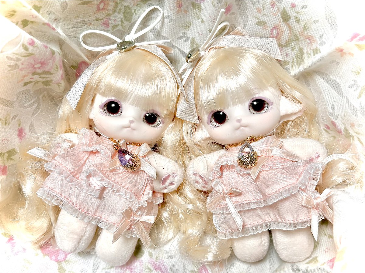 aotakerinno's tweet photo. 【#おはドル 】
本日
『18年目の #結婚記念日 】迎えました☆
いやー…
そらアラフィフになりますわな😂（笑）
蒼竹夫婦、お付き合い期間含めたら22年間一緒におります✌️💖
これからも2人で支え合いオタ夫婦を続ける意向です 😂（笑）

#MiMiA 
#うちのこかわいい https://t.co/samUaGTG8v