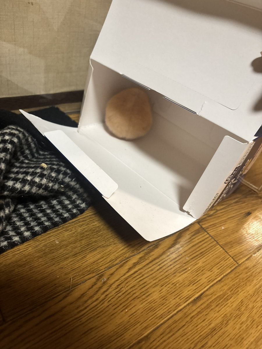 ohanako_ham's tweet photo. あまりにもきなこもちすぎる
可愛すぎて食べたい https://t.co/y0yuj3Bjzt