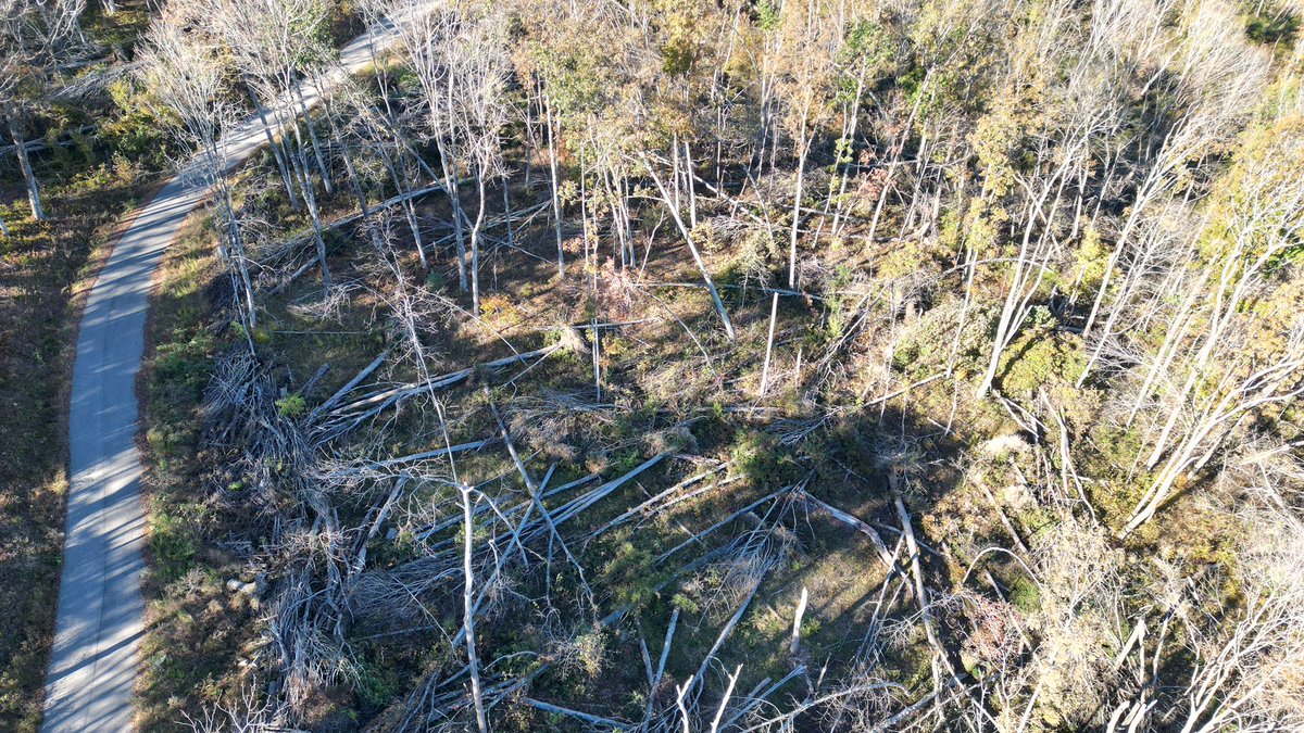 DrcrawfishWx's tweet photo. I’m years late but I took these today this is damage from hurricane Helene up on the Scott county side of high knob, miles worth of these downed tree swaths with root balls definitely intense winds came through 

@NWSMorristown @TrackerSacker @netnwx @coolkid_028 @ConnerBoyd_WX https://t.co/mcZlpUEQzi