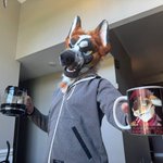 Photo by Mackaroo (@grumpymackaroo)