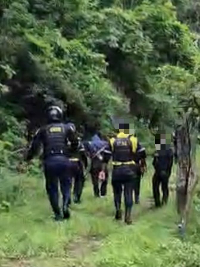 sebastiansiero's tweet photo. 🚨🚨 Detenido portando una carabina con reporte de robo

Agentes de nuestra Policía Élite Jaguares y PNC persiguieron a un presunto delincuente por un área boscosa de zona 1, mientras intentaba escapar, logrando su captura. https://t.co/FdVJEwDvli