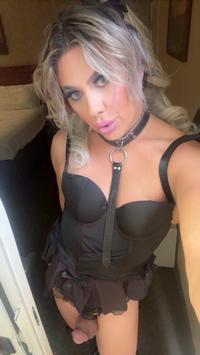 tskaydyn69's tweet photo. It’s a gorgeous day to fill up a slutty whore like me today. 411 Hotel Circle S. the best western seven seas Mission Valley, San Diego. 💦🥧😈 https://t.co/k3MvX99iEA