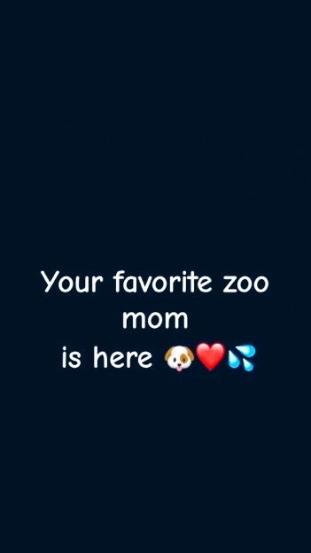 KNOTTYBirrd666's tweet photo. Zoo lovers Hmu 💦

https://t.co/hoedhIm7EB
Dm for menu List 

https://t.co/hoedhIm7EB

#BBUK #DogLovers #dogknott #TABOO #furryfandom #zoophiletwt https://t.co/WtVjegzYd0