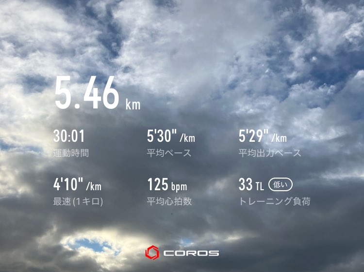 hashirusake tweet picture