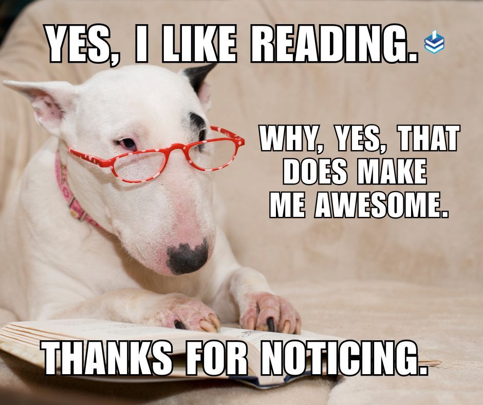EveryLibrary's tweet photo. Love libraries?

You can support libraries today at https://t.co/pHGN9ZzAL2 

#library #libraries #read #reading #book #books #librarianship #lit https://t.co/xqPF7wpsw0