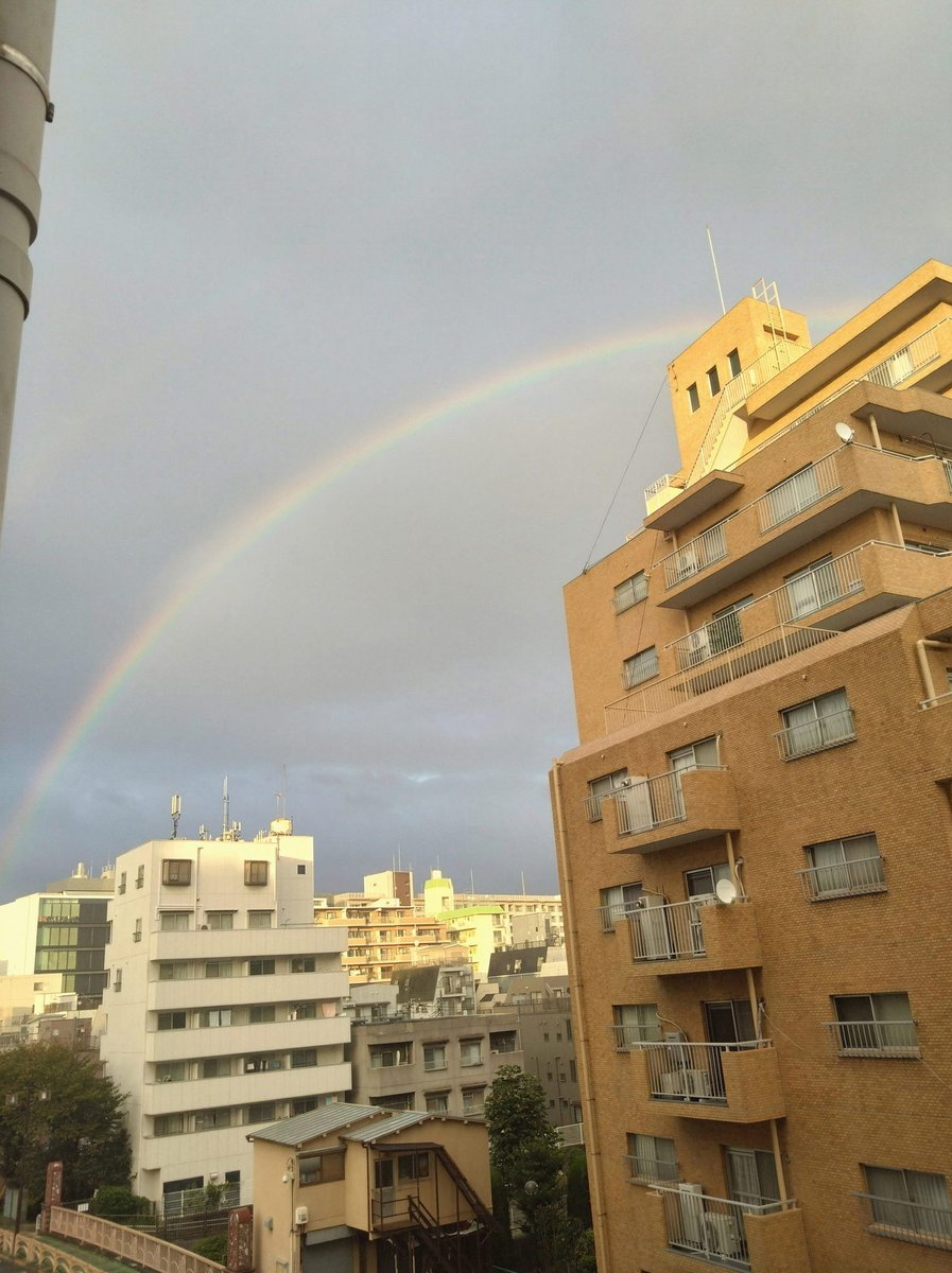 M5SCesenatico's tweet photo. フードロスニキお盆ひっくり返さずに普通に配膳して帰って行ったのめちゃくちゃ面白かった
いつも何言ってるかわからんのもずるい、笑う https://t.co/LkV15Kinr0