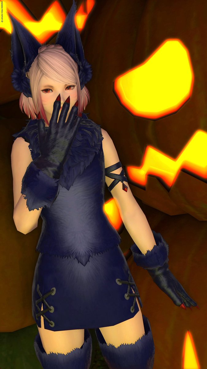 mio__ff14's tweet photo. おはよーう🎃
今日から漆黒に突入！ゆっくり進めていきます✨️

#おはミコ
#ミコッテ
#FF14 https://t.co/gj7w2TwNyw