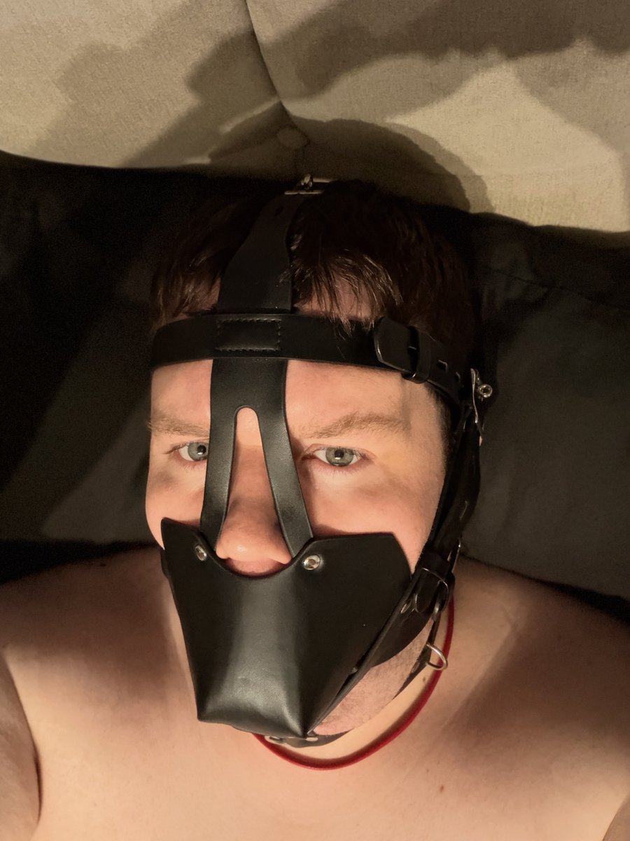 OwnedSlave__'s tweet photo. Having a bit of fun with the muzzle 😈 https://t.co/Mdey5q6g2k