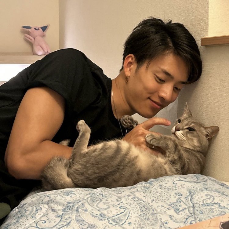 Cpdktb's tweet photo. メガサイズ https://t.co/vEHDJ88Mc9